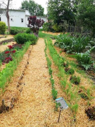Вілла Au Coeur Du Jardin La Boussac Екстер'єр фото
