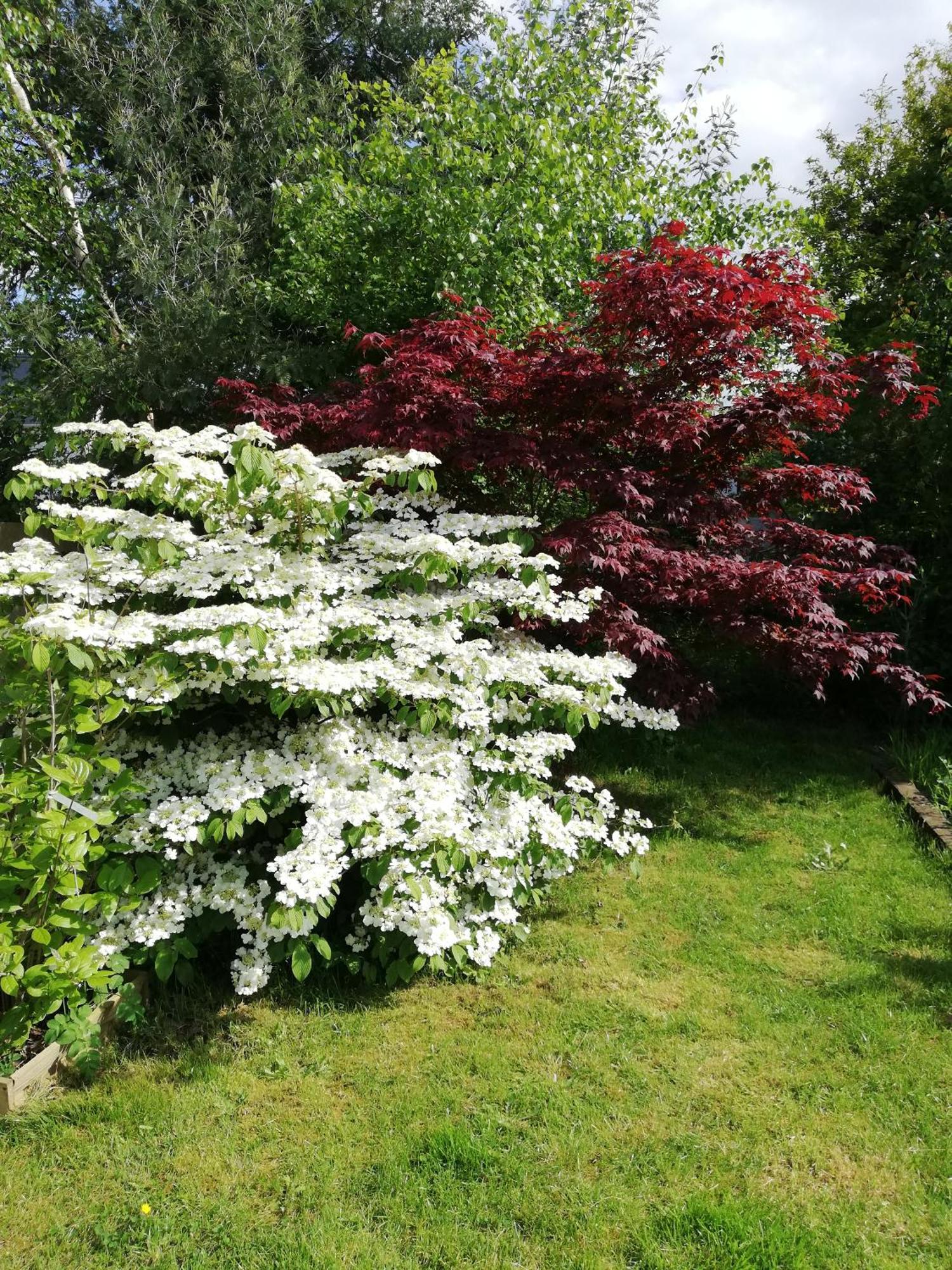 Вілла Au Coeur Du Jardin La Boussac Екстер'єр фото